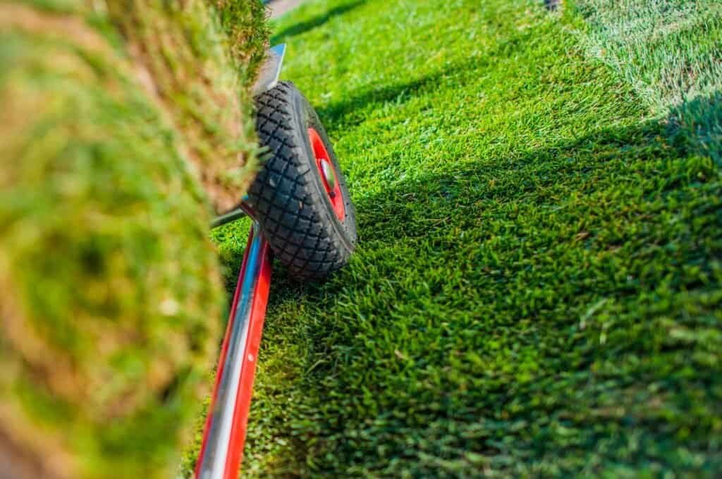 Lawn roller compacting freshly laid grass for a smooth finish.