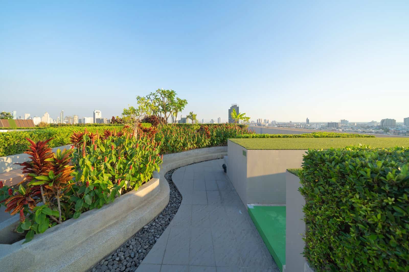 Modern rooftop garden with lush plants and city skyline view.