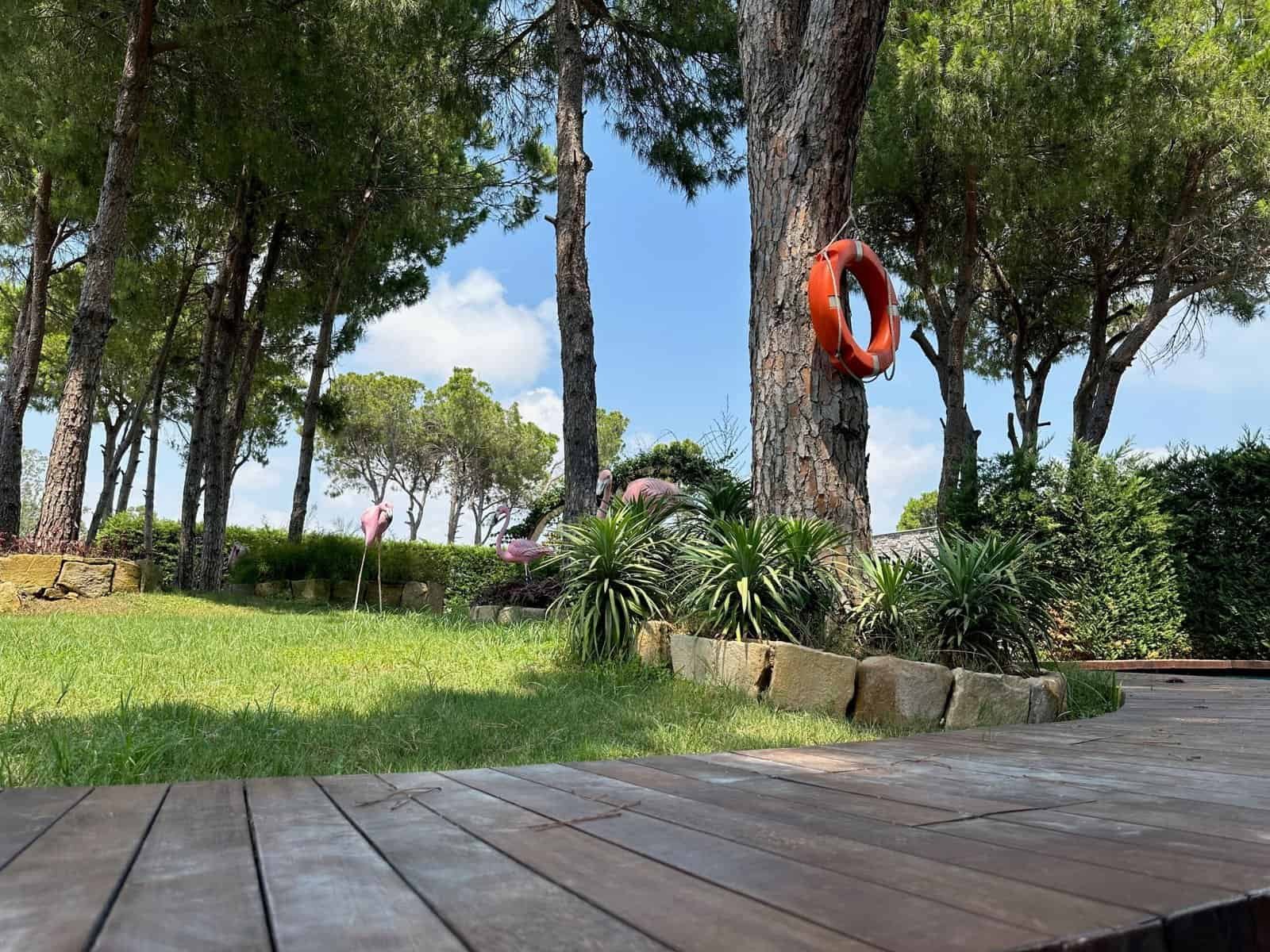 Beautiful landscaped garden with trees, plants, and wooden deck for outdoor relaxation.